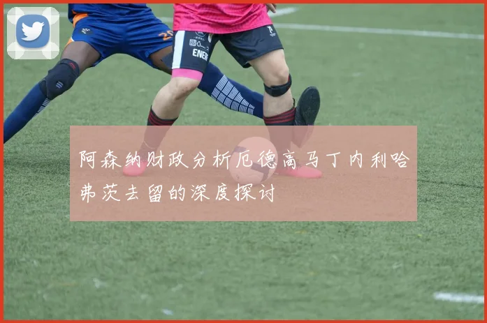 阿森纳财政分析厄德高马丁内利哈弗茨去留的深度探讨